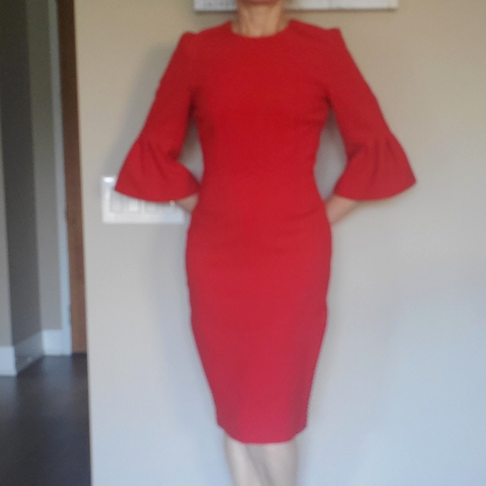 👑 HOST PICK 👑 Sandra Angelozzi Bell Sleeves Dress